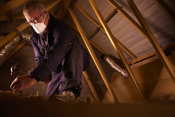 Types of Insulation We Offer in La Verne, CA